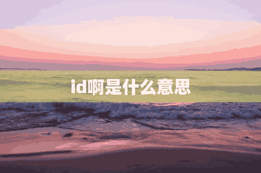 id啊是什么意思